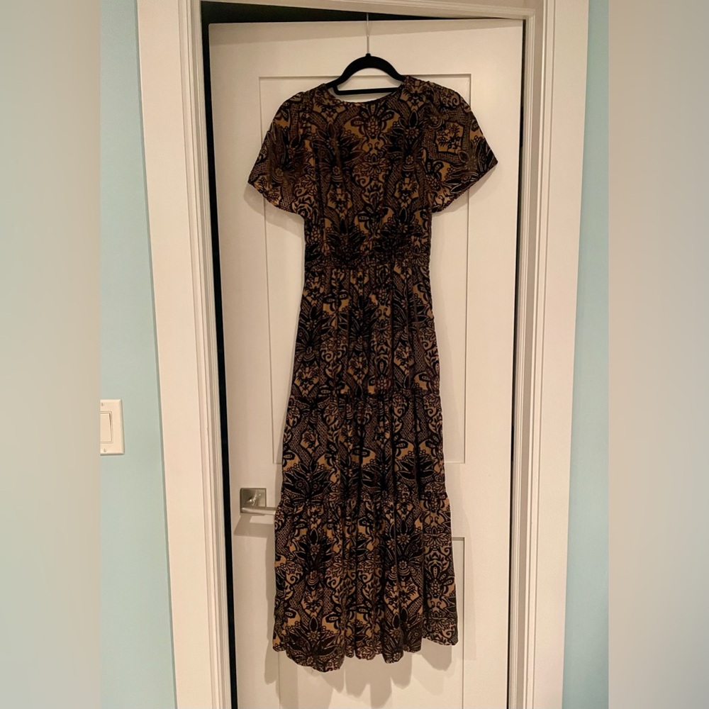 Anthropologie | Tan and Black Velvet Maxi Dress - Picture 3 of 14